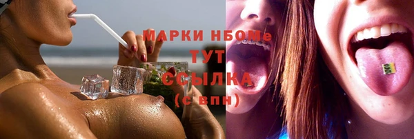 индика Алзамай