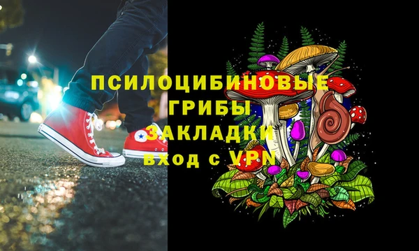 тгк Алексин