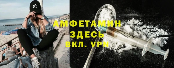 индика Алзамай