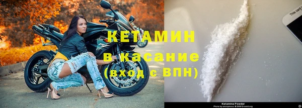 индика Алзамай