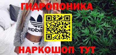 прущие грибы Можга