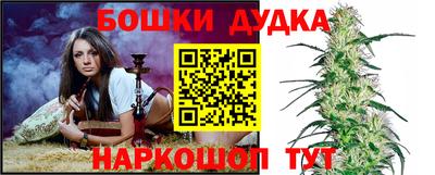 дживик Моздок