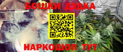 дживик Моздок