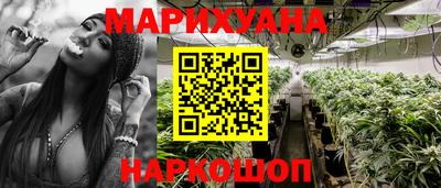 прущие грибы Можга