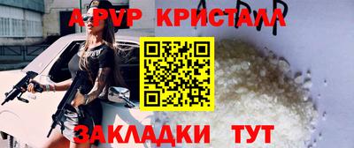 прущие грибы Можга