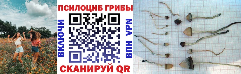 Галлюциногенные грибы мухоморы Уссурийск