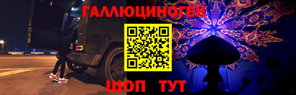 Галлюциногенные грибы Psilocybe Уссурийск
