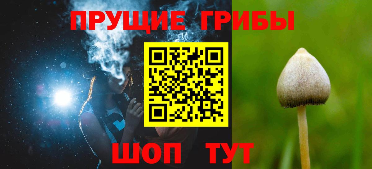 наркошоп  Псилоцибиновые грибы GOLDEN TEACHER  Вход с VPN  Уссурийск 