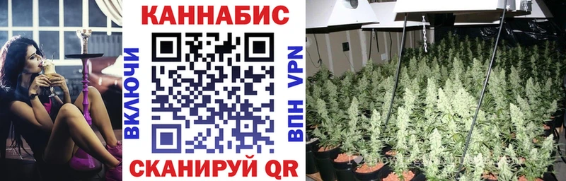 МАРИХУАНА сатива Уссурийск